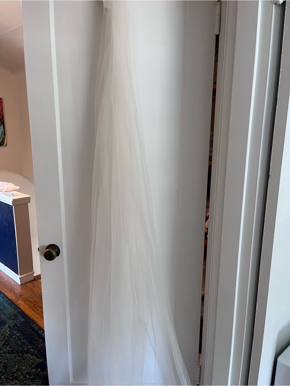 Cathedral Bridal Veil - Ivory Tulle